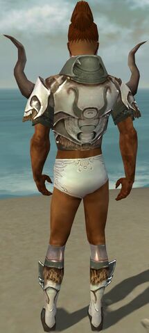 File:Paragon Norn Armor M gray chest feet back.jpg