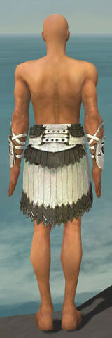 File:Paragon Sunspear Armor M gray arms legs back.jpg