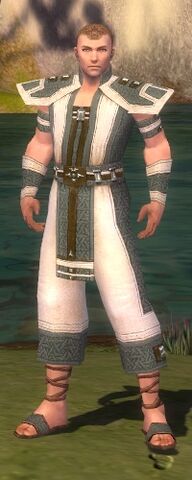 File:Monk Elite Saintly Armor M gray front.jpg