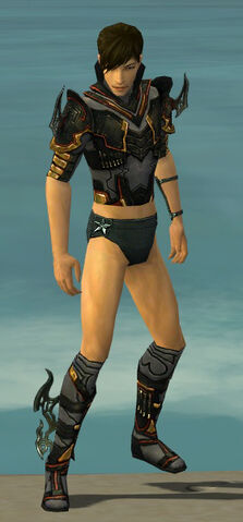 File:Assassin Elite Kurzick Armor M gray chest feet front.jpg