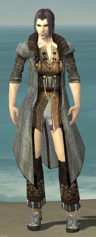 File:Elementalist Vabbian Armor M gray chest feet front.jpg
