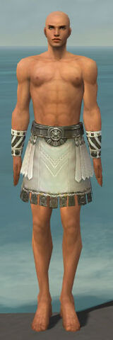 File:Paragon Istani Armor M gray arms legs front.jpg