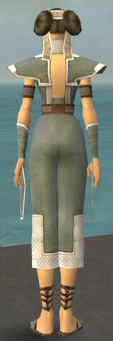 File:Monk Krytan Armor F gray back.jpg