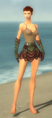 File:Ranger Elite Studded Leather Armor F gray arms legs front.jpg