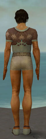 File:Dervish Sunspear Armor M gray chest feet back.jpg