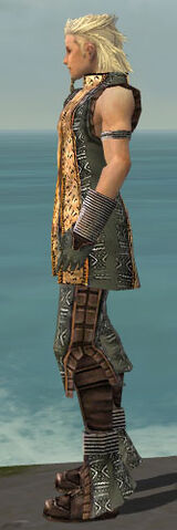 File:Elementalist Istani Armor M gray side.jpg