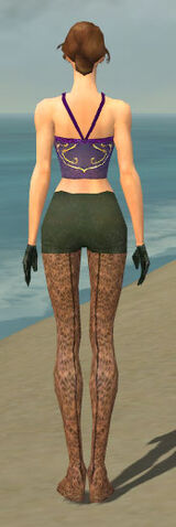 File:Mesmer Performer Armor F gray arms legs back.jpg