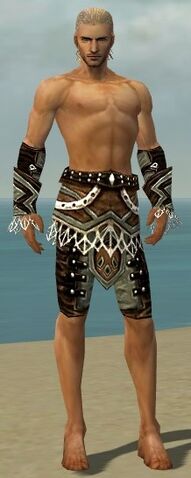 File:Ranger Kurzick Armor M gray arms legs front.jpg