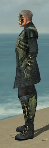 File:Mesmer Elite Kurzick Armor M gray side.jpg