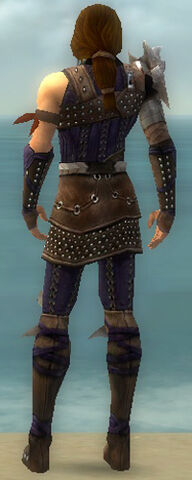 File:Ranger Studded Leather Armor M dyed back.jpg