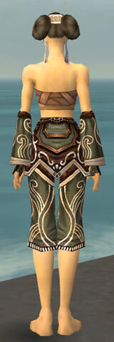 File:Monk Canthan Armor F gray arms legs back.jpg