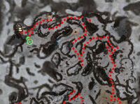 Volsung's Stead Map
