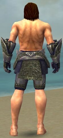 File:Warrior Platemail Armor M gray arms legs back.jpg