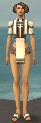 File:Monk Sacred Armor F gray chest feet front.jpg