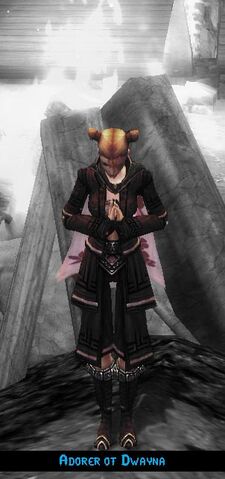 File:Adorer of Dwayna.jpg