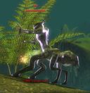 Chkkr Locust Lord