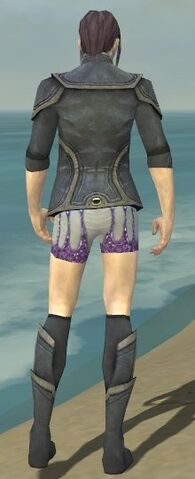 File:Elementalist Ascalon Armor M gray chest feet back.jpg