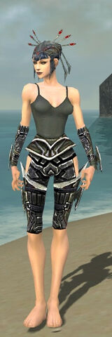 File:Necromancer Elite Profane Armor F gray arms legs front.jpg