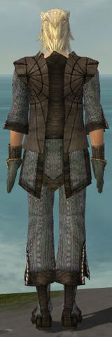 File:Elementalist Sunspear Armor M gray back.jpg
