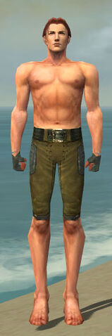 File:Mesmer Ascalon Armor M gray arms legs front.jpg