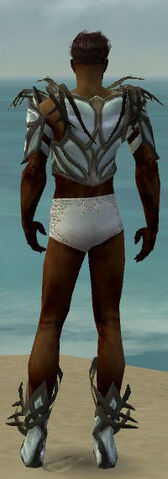 File:Paragon Primeval Armor M gray chest feet back.jpg