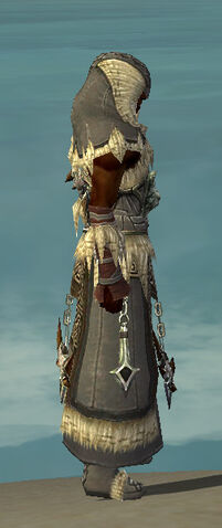 File:Dervish Norn Armor M gray side.jpg