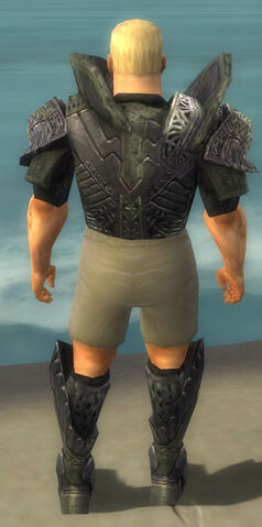 File:Warrior Elite Platemail Armor M gray chest feet back.jpg