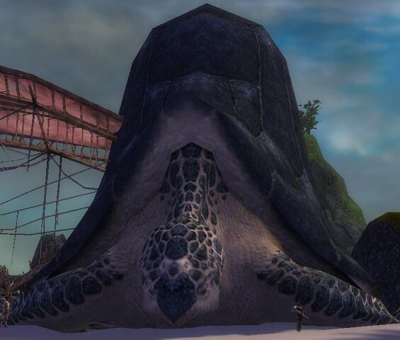 File:Giant Turtle.jpg