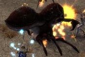 Dune Beetle Queen