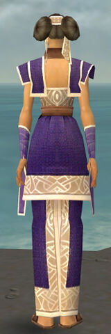 File:Monk Tyrian Armor F dyed back.jpg