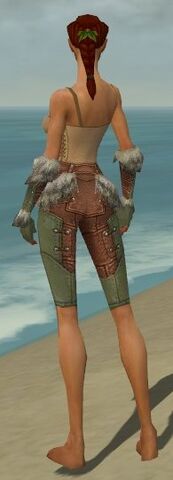 File:Ranger Fur-Lined Armor F gray arms legs back.jpg