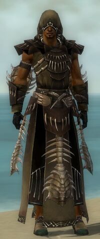 File:Dervish Primeval Armor M dyed front.jpg