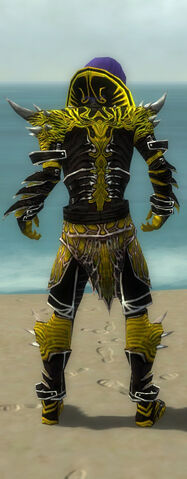 File:Necromancer Elite Luxon Armor M dyed back.jpg