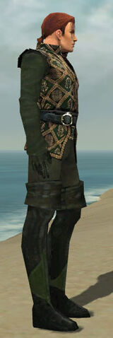 File:Mesmer Courtly Armor M gray side.jpg