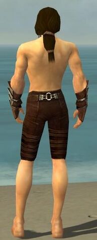 File:Ranger Monument Armor M gray arms legs back.jpg