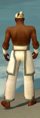 File:Monk Sacred Armor M gray arms legs back.jpg