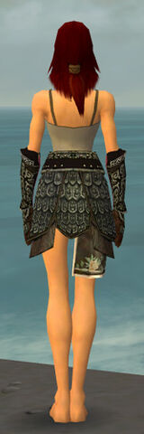File:Warrior Canthan Armor F gray arms legs back.jpg