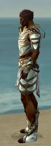 File:Paragon Primeval Armor M dyed side.jpg