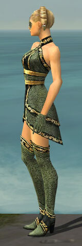 File:Mesmer Shing Jea Armor F gray side.jpg