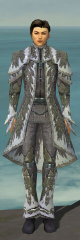 File:Elementalist Iceforged Armor M gray front.jpg