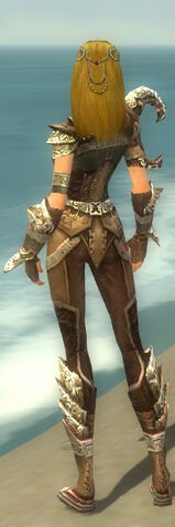 File:Ranger Asuran Armor F gray back.jpg