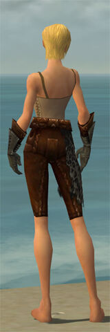File:Ranger Istani Armor F gray arms legs back.jpg