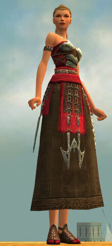 File:Dervish Deldrimor Armor F dyed front.jpg