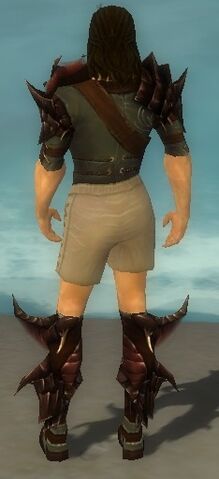 File:Ranger Primeval Armor M gray chest feet back.jpg