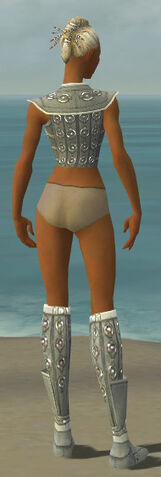 File:Warrior Ascalon Armor F gray chest feet back.jpg