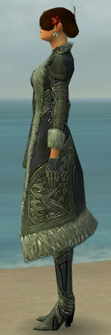 File:Mesmer Kurzick Armor F gray side.jpg