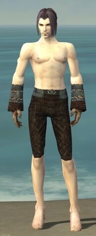 File:Elementalist Vabbian Armor M gray arms legs front.jpg