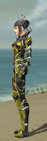 File:Necromancer Elite Kurzick Armor F dyed side.jpg