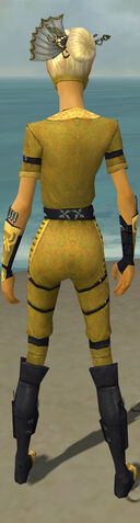 File:Assassin Shing Jea Armor F dyed back.jpg
