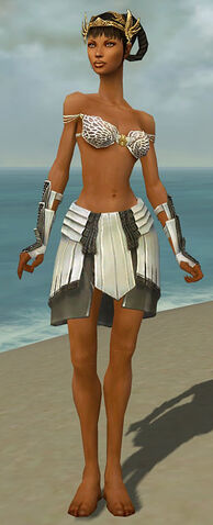File:Paragon Ancient Armor F gray arms legs front.jpg